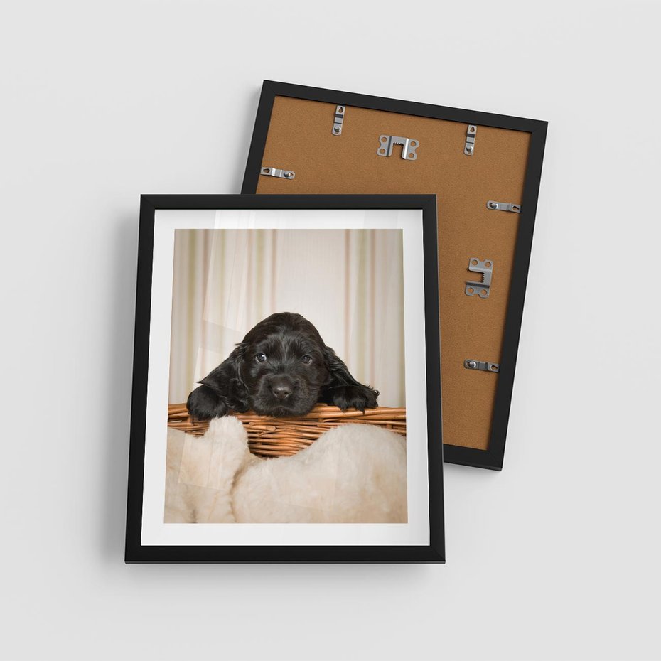 Plakat w ramie 40x50 - Uroczy szczeniak w akcji - piesek, szczeniak - rama czarna