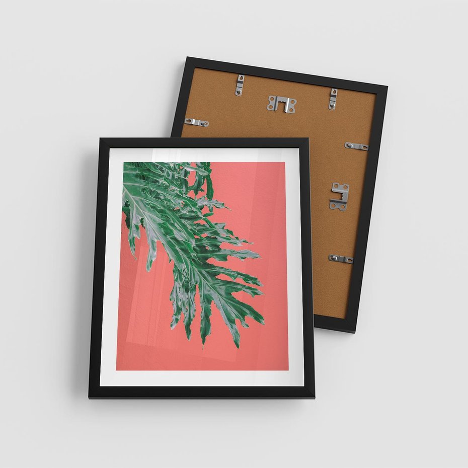 Plakat w ramie 40x50 - Energetyczna Eksplozja Natury - liście, kolor - rama czarna