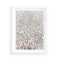 Plakat w ramie 50x70 - Białe Drobne Kwiaty - gipsówka, białe drobne kwiatki - rama biała