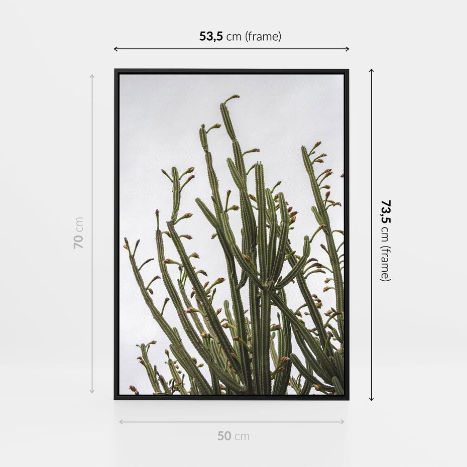 Obraz w ramie 50x70 - Ekskluzywna Roślinność - kaktusy, liście - rama czarna