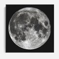 Obraz w ramie 50x50 - Księżycowa Aura - zdjęcie, ogromny księżyc na czarnym tle - rama czarna