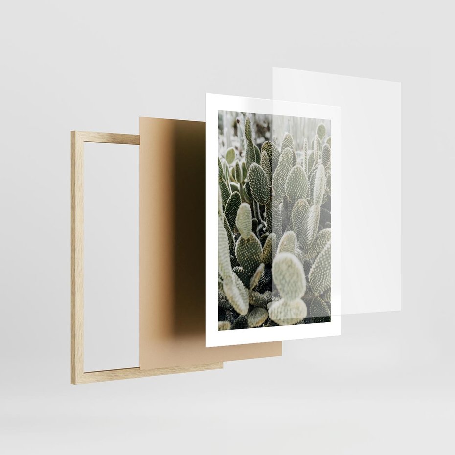 Plakat w ramie 30x40 - Kaktusowa Harmonia - kaktusy, fotografia - rama drewno