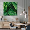 Obraz na płótnie 50x50 - Zaklęta roślinna ekspresja - liście bananowca, gęsto ułożone
