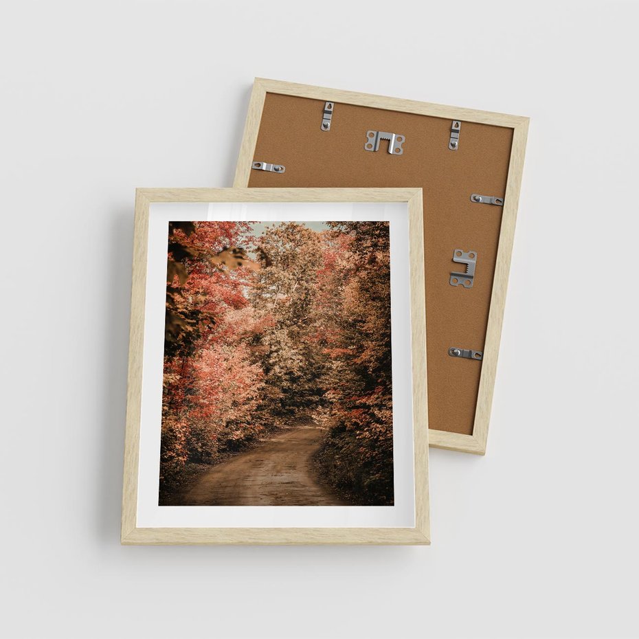 Plakat w ramie 40x50 - Obraz przedstawia jesienne drzewa i czerwone liście na ścieżce w lesie. Ta sceneria doskonale oddaje urok i kolorystykę jesieni w lesie. - las, jesień - rama drewno