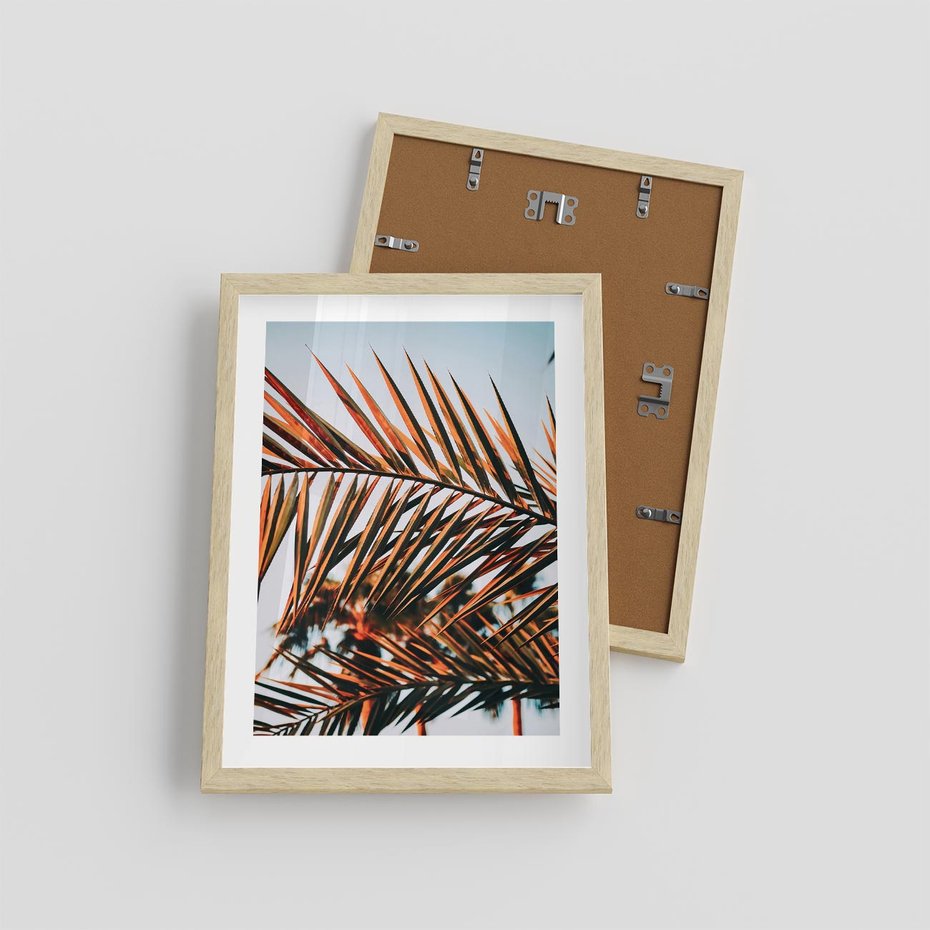 Plakat w ramie 30x40 - Tropikalna Harmonia - palma, liście palmy - rama drewno