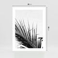 Plakat bez ramy 30x40 - Sztuka Natury: Monochromatyczna Palma - palma, czarno białe zdjęcie