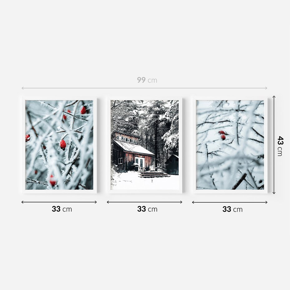 Zestaw obrazy w ramie 30x40 galeria - Zimowa, scenerai, domek, śnieg - rama biała