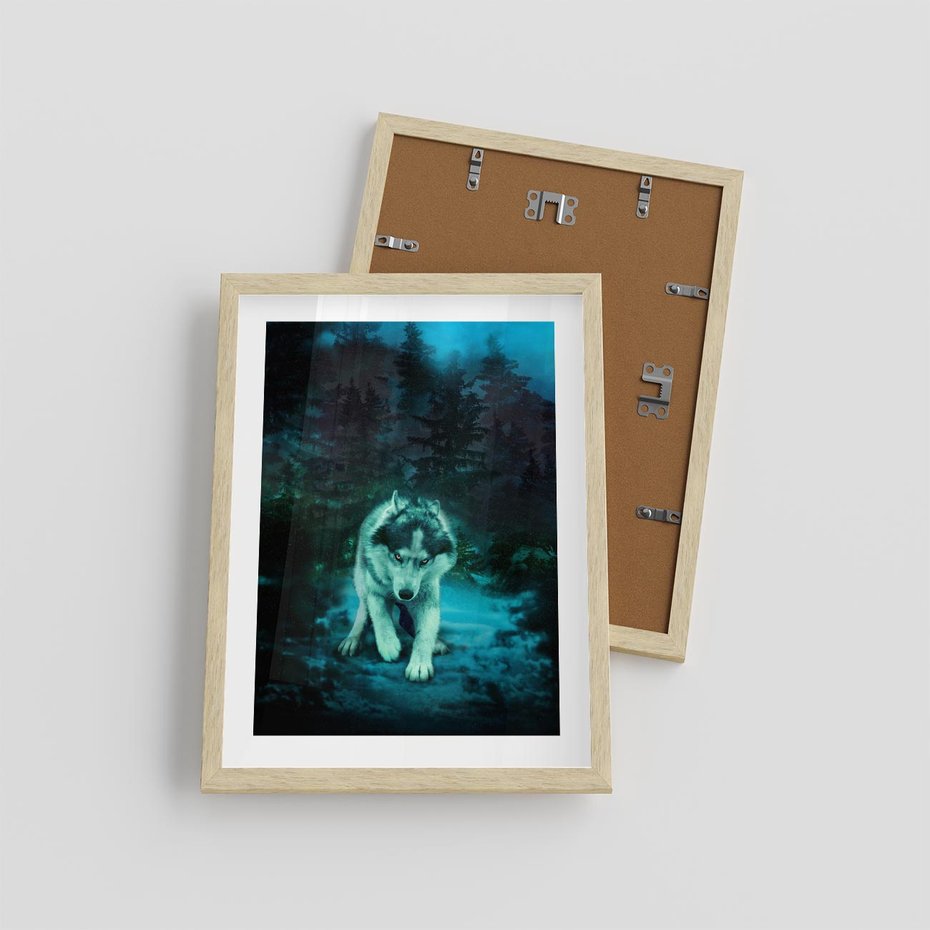 Plakat w ramie 30x40 - Siła i wdzięk natury - wilk, husky - rama drewno