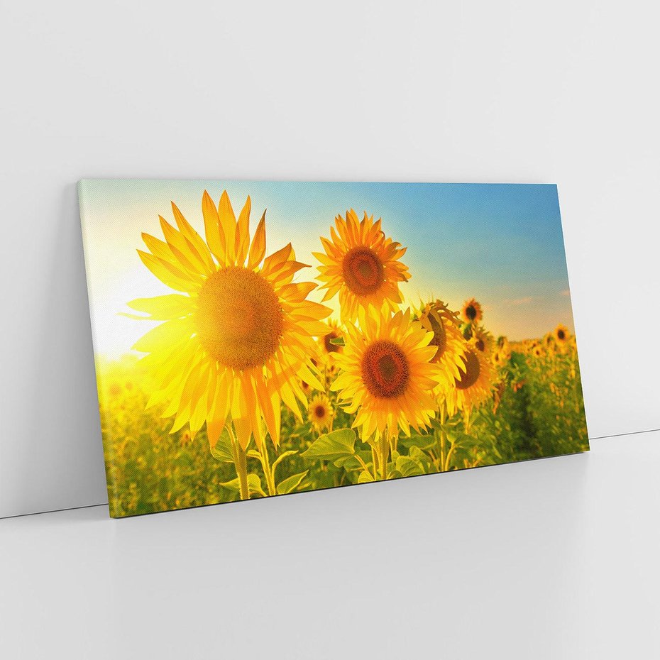 Obraz na płótnie 100x50 - kolorowe promienie - słoneczniki, kwiaty