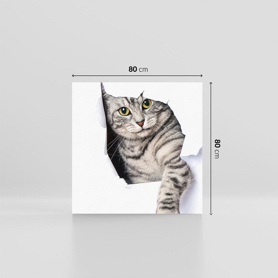 Obraz na płótnie 80x80 - Tajemniczy kot i jego świat - kot, dziura
