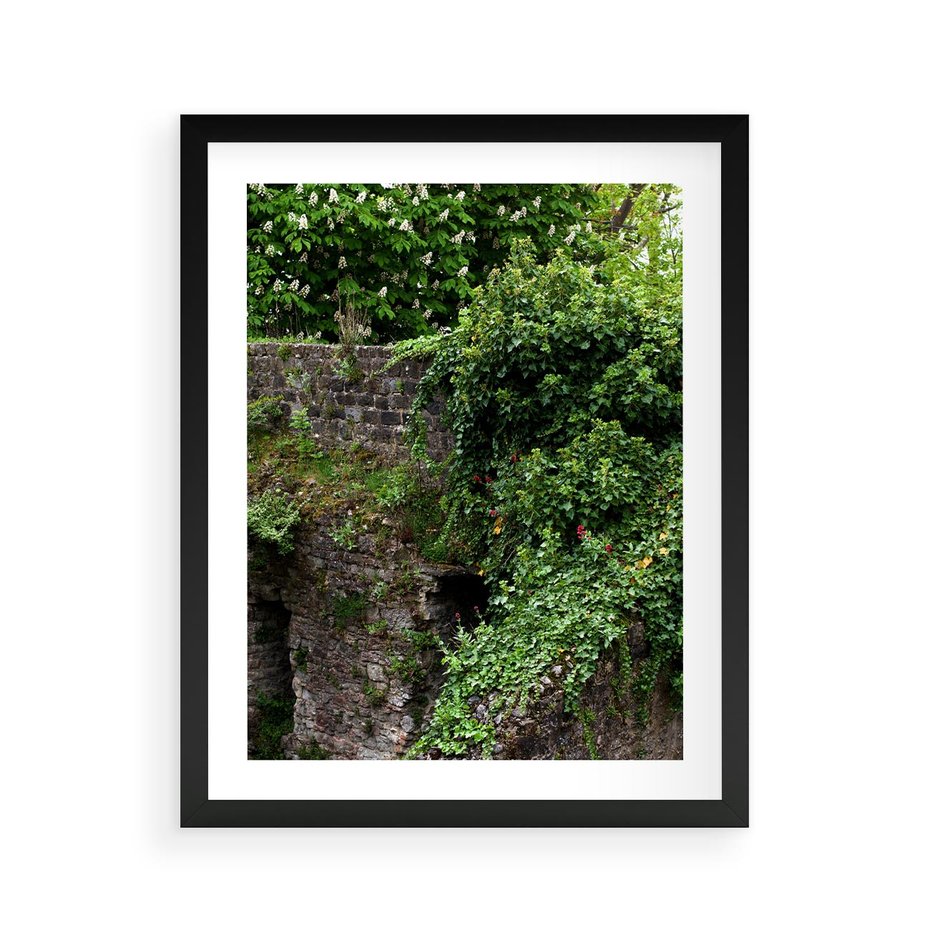 Plakat w ramie 40x50 - Żywiołowa Zieleń - mur, liście - rama czarna