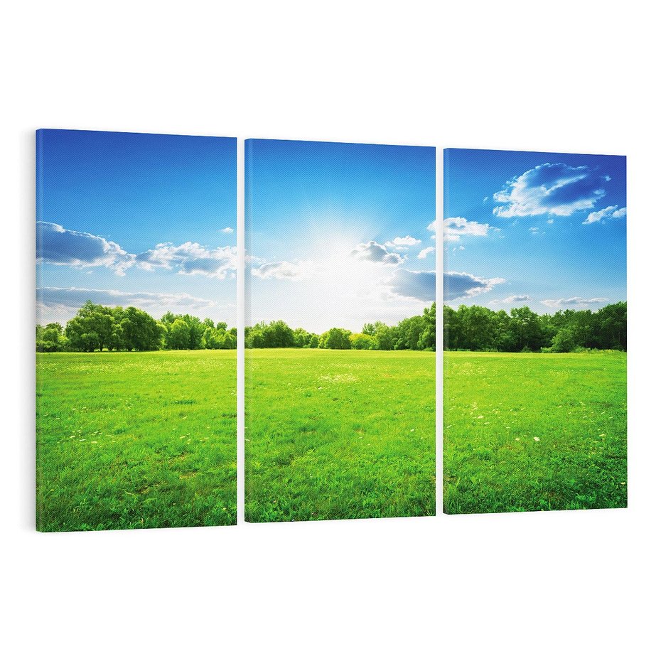 Obraz na płótnie 120x80 - Idylla na łące drzew - łąka, drzewa