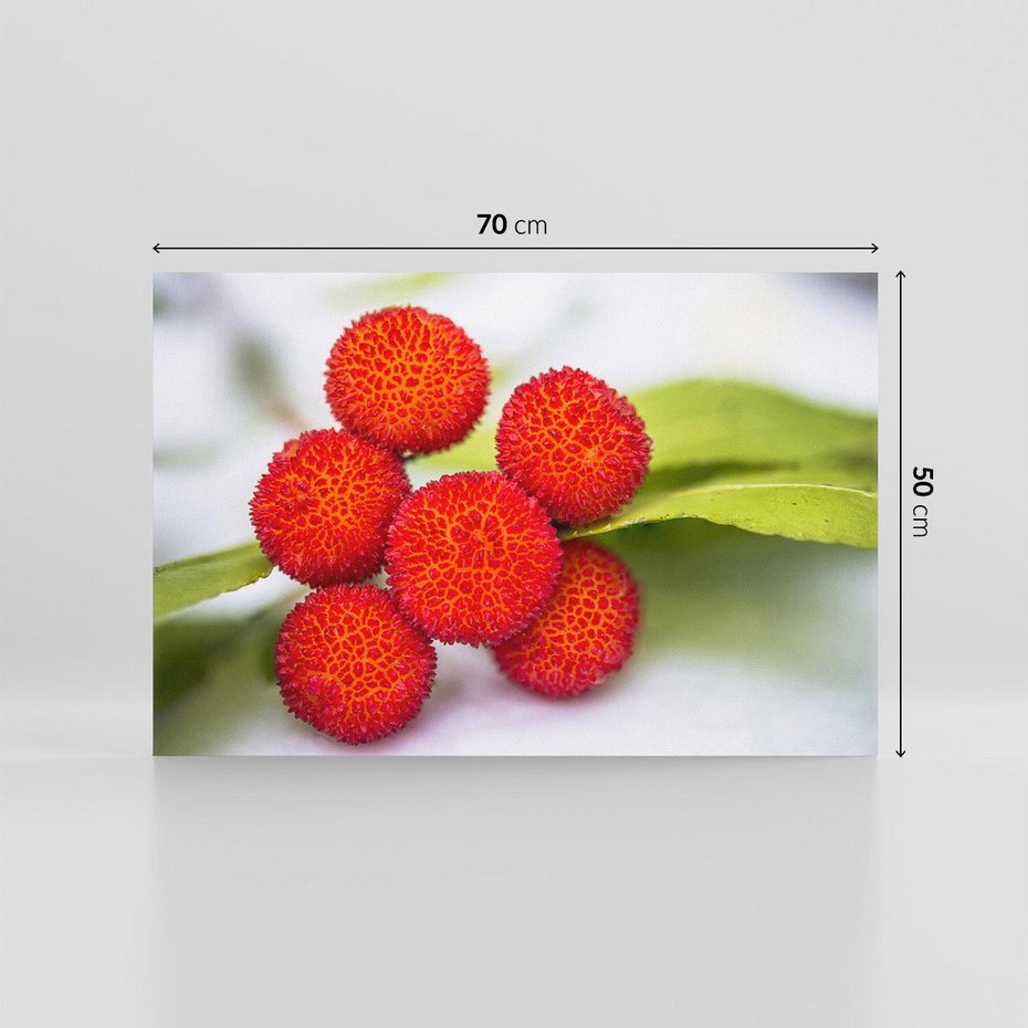 Obraz na płótnie 70x50 - Liczi Owoce - liczi, owoce