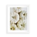 Plakat w ramie 40x50 - Jesienne Dynie: Delikatna Kompozycja - białe dynie, jasna kompozycja - rama biała
