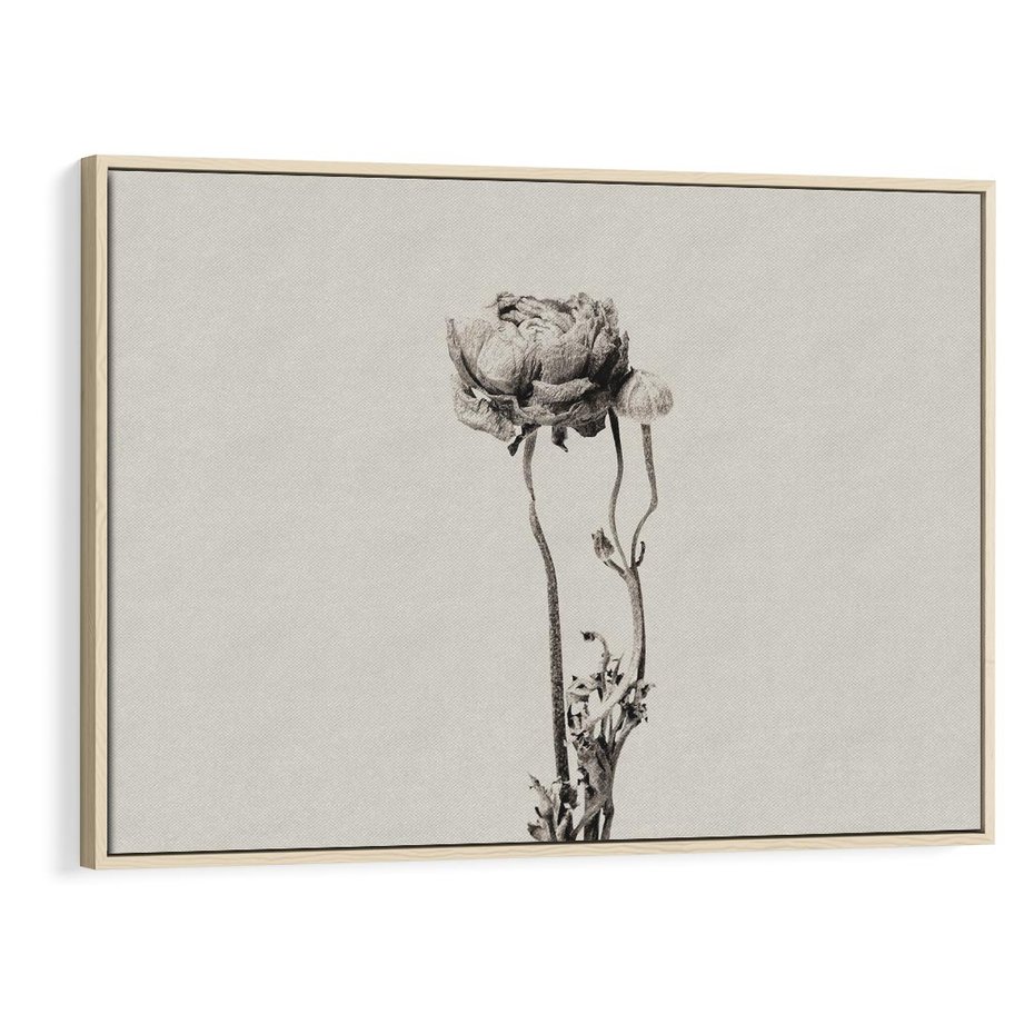 Obraz w ramie 120x80 - Cień Kwiatowej Delikatności - kwiat, cień - rama drewno