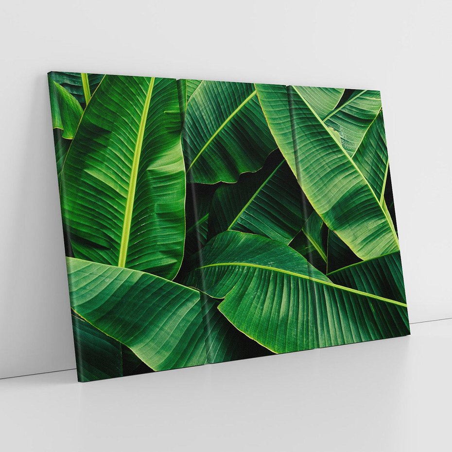 Obraz na płótnie 120x80 - Zaklęta roślinna ekspresja - liście bananowca, gęsto ułożone