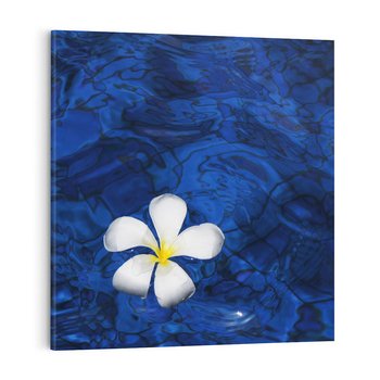 Obraz na płótnie 40x40 - Kwiaty wodne delikatność natury - kwiat, woda