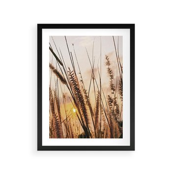 Plakat w ramie 30x40 - Malownicza Łąka z Trawam - trawy, łąka - rama czarna
