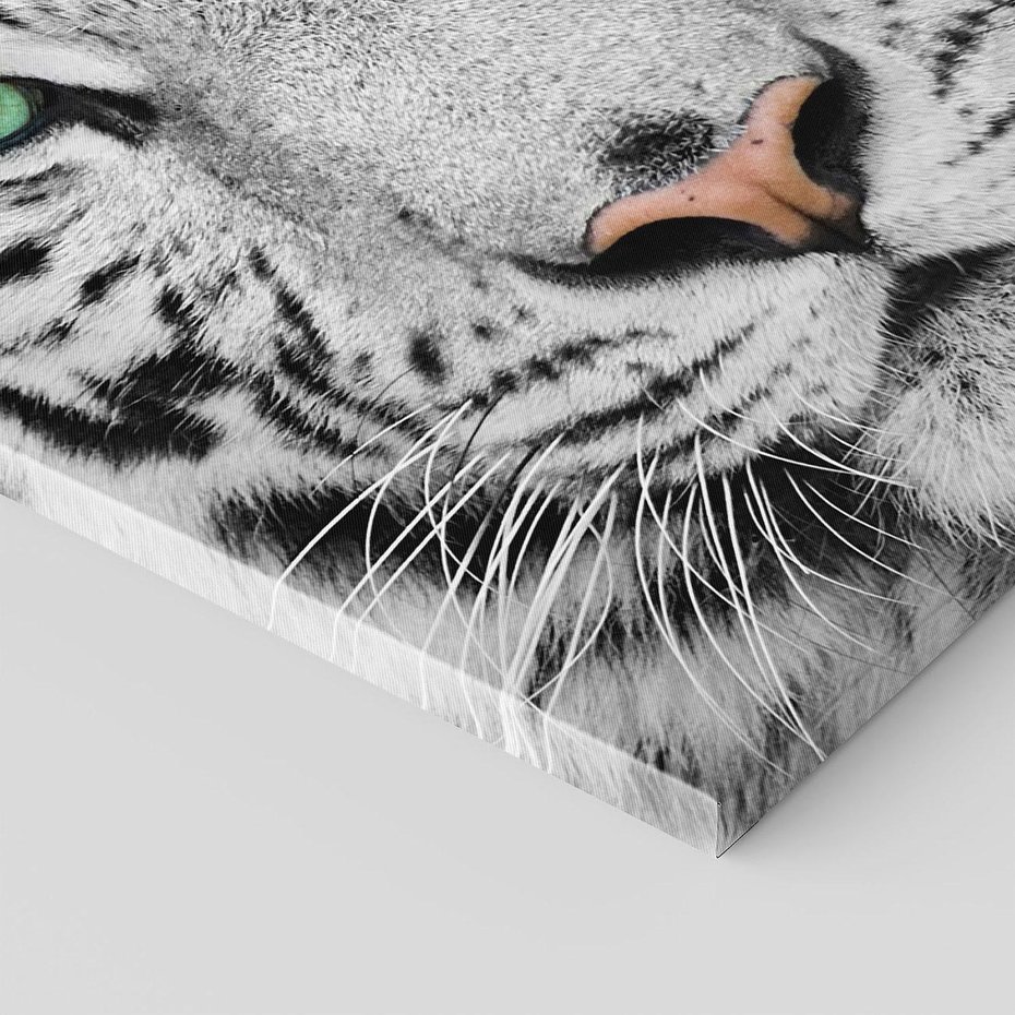 Obraz na płótnie 30x30 - Magia Białego Tygrysa - biały, tygrys