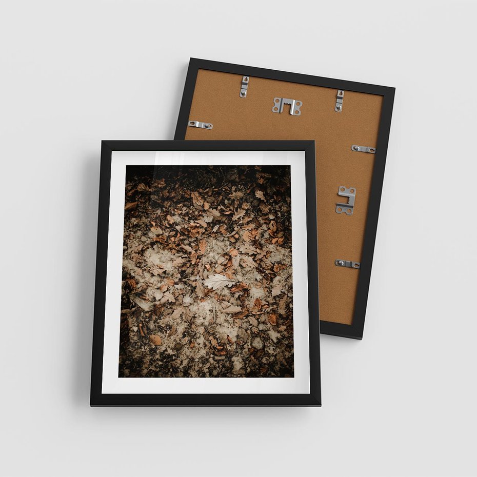Plakat w ramie 40x50 - Suchość Liści w Brązowych Tonach - suche liście jesień brąz - rama czarna