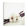 Obraz na płótnie 50x50 - Czuła delikatność wanilii - wanilia, kwiaty
