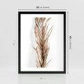 Plakat w ramie 30x40 - Minimalizm Palmowy: Sucha Uroda - sucha palma, minimalizm - rama czarna
