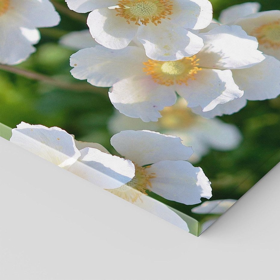 Obraz na płótnie 60x60 - Kwiatowy Raj - kwiat, kwiaty