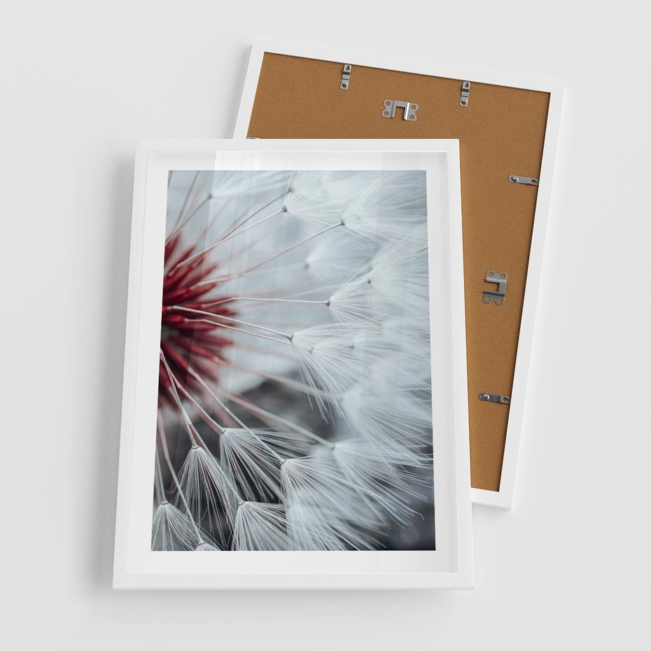 Plakat w ramie 50x70 - Makro świat dmuchawca - dmuchawiec, makro - rama biała