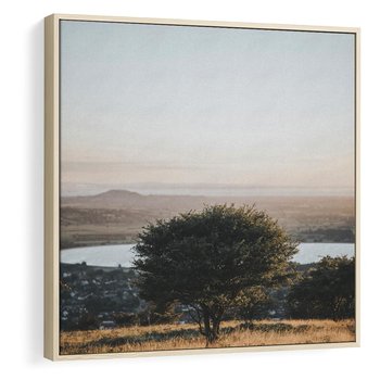 Obraz w ramie 80x80 - Siła Natury - drzewo, pejzaż - rama drewno