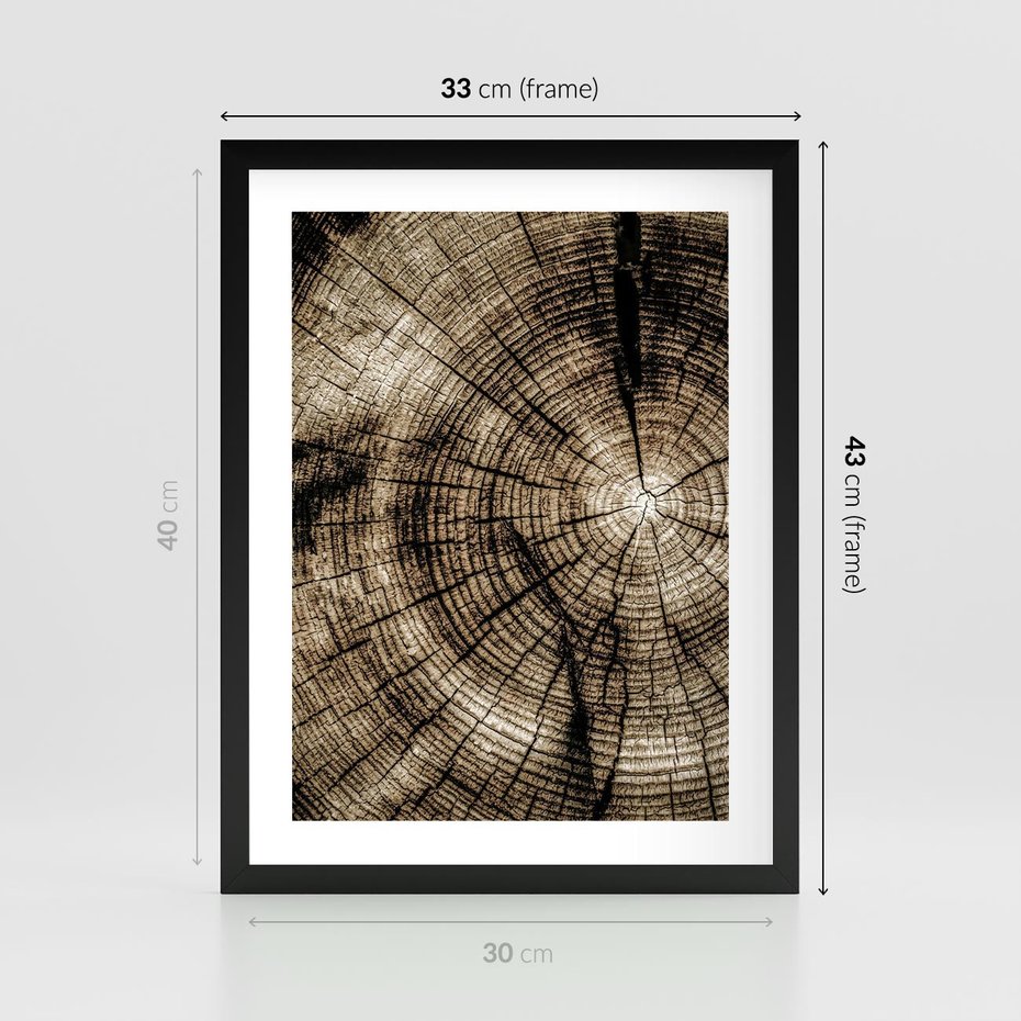 Plakat w ramie 30x40 - Natura Pod Lupą - pień drzewa, przekrój - rama czarna