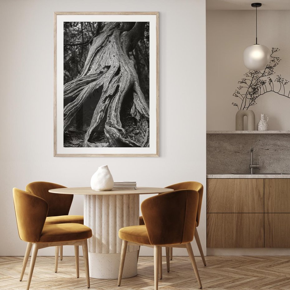 Plakat w ramie 50x70 - Siła Natury - czarno biała fotografia, korzenie wielkiego drzewa - rama drewno