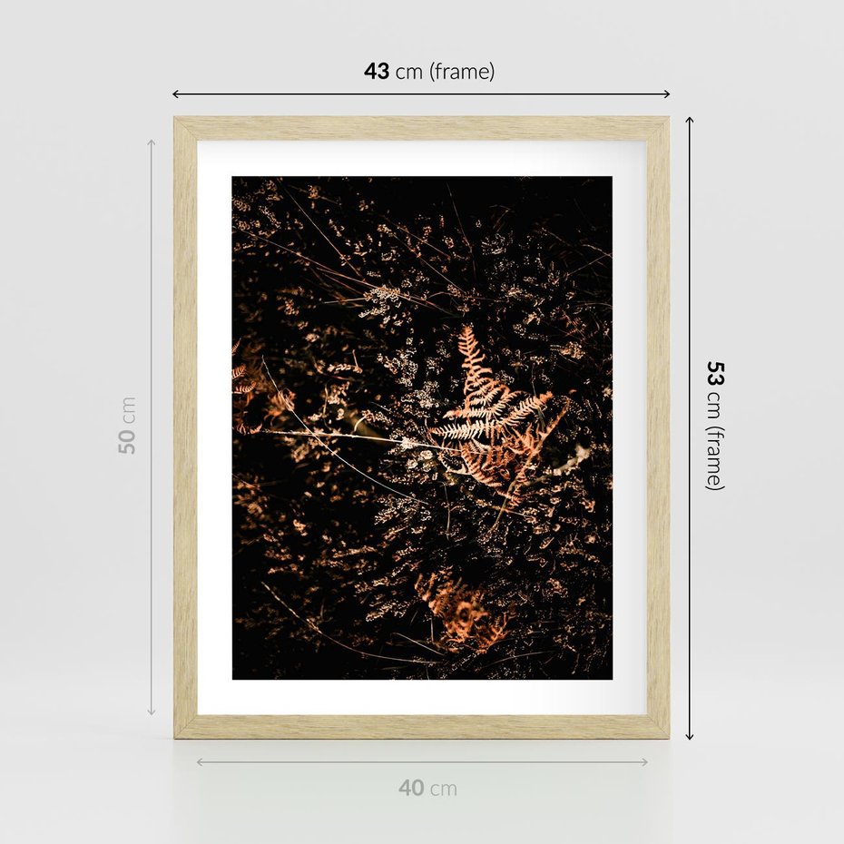 Plakat w ramie 40x50 - Jesienna Melodia - suche trawy, paprocie - rama drewno