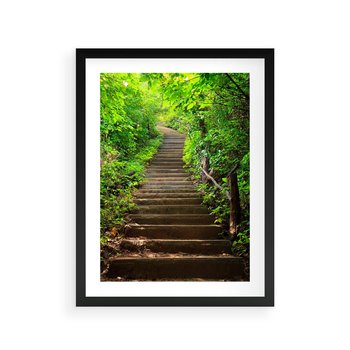 Plakat w ramie 40x50 - Lasowa ścieżka pełna tajemnic - ścieżka, schody - rama czarna