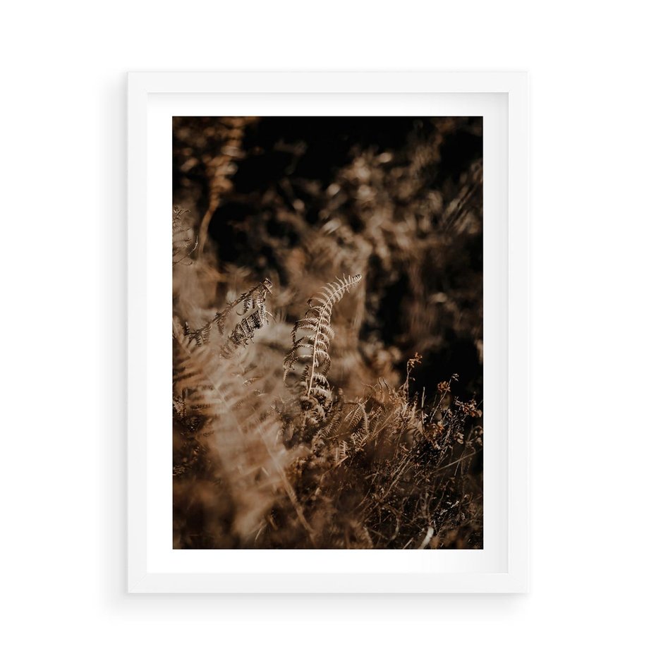 Plakat w ramie 50x70 - Delikatne Detale - paprocie, brąz - rama biała
