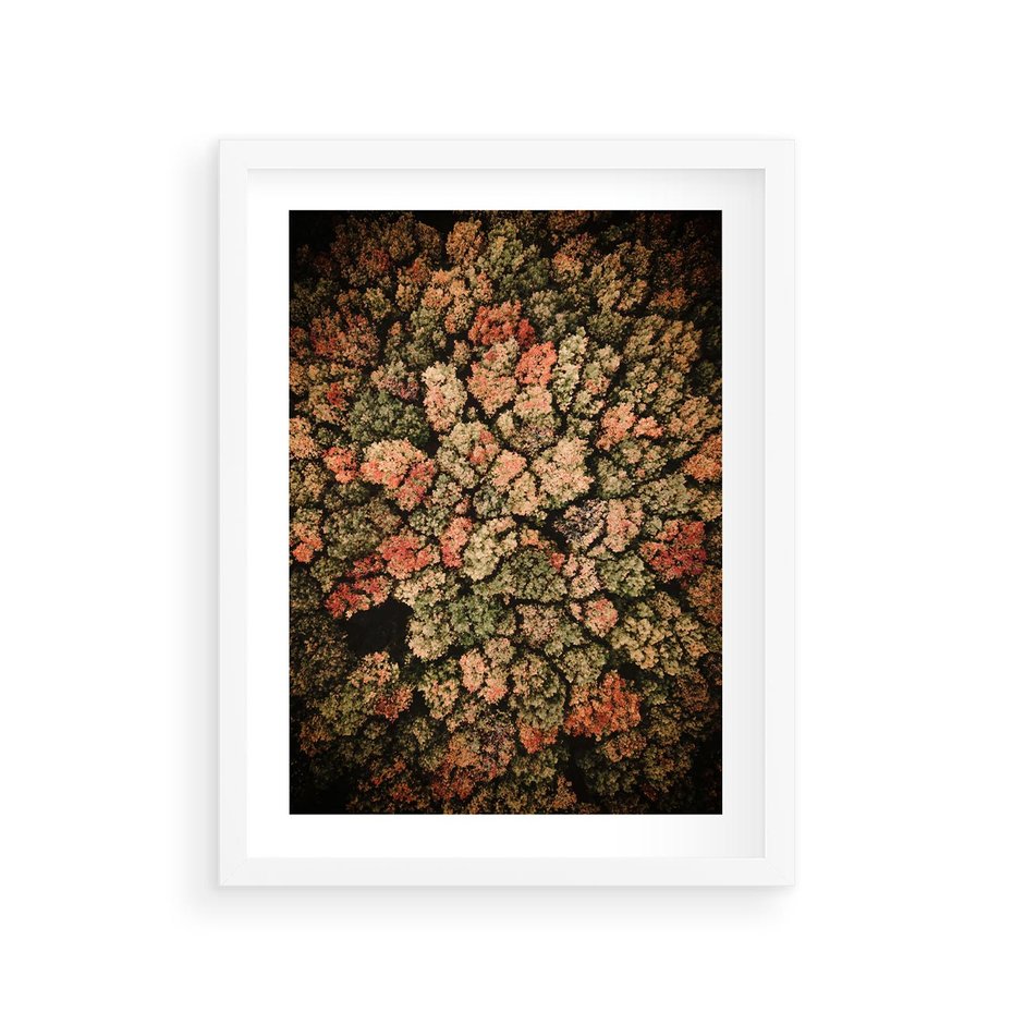 Plakat w ramie 30x40 - Jesień z Lotu Ptaka: Malowniczy Las - las jesienią z lotu ptaka - rama biała