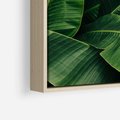 Obraz w ramie 80x80 - Zaklęta roślinna ekspresja - liście bananowca, gęsto ułożone - rama drewno