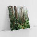 Obraz na płótnie 60x60 - Mgliste Marzenia - artystyczna fotografia, las