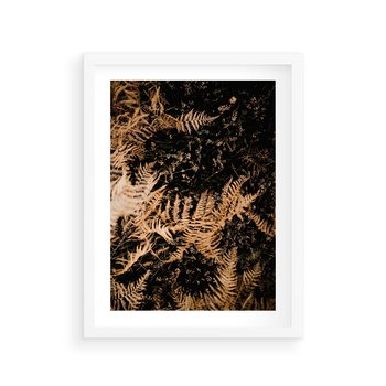 Plakat w ramie 30x40 - Jesienne Paprocie: Kolorowa Paleta Natury - paprocie, jesień - rama biała