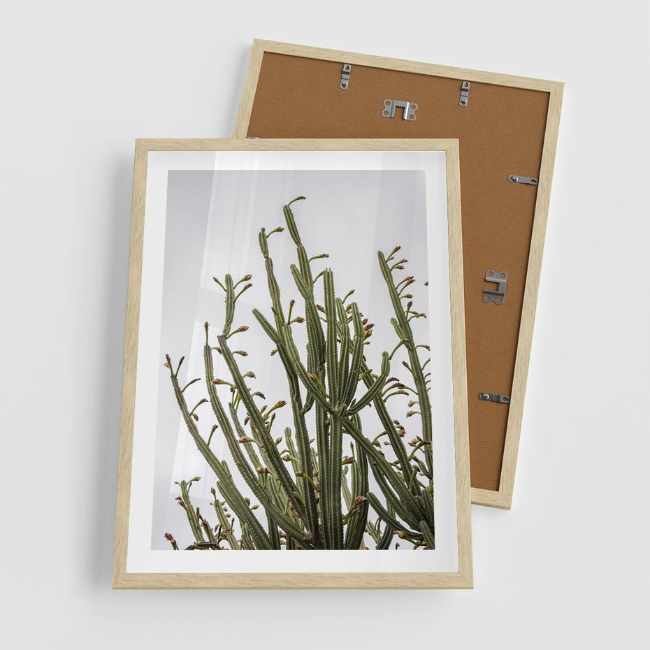 Plakat w ramie 50x70 - Ekskluzywna Roślinność - kaktusy, liście - rama drewno