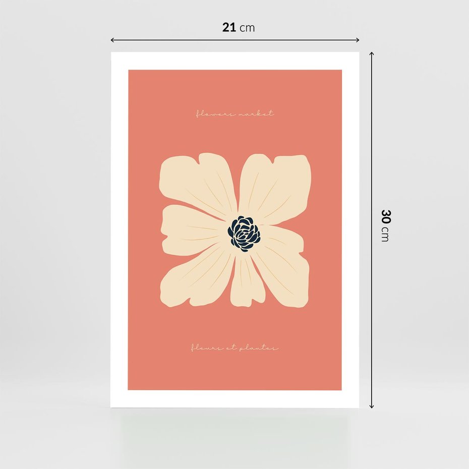 Plakat bez ramy 21x30 - Malowane Kolorowe Echa - minimalistyczna grafika, biały kwiat na różowym tle