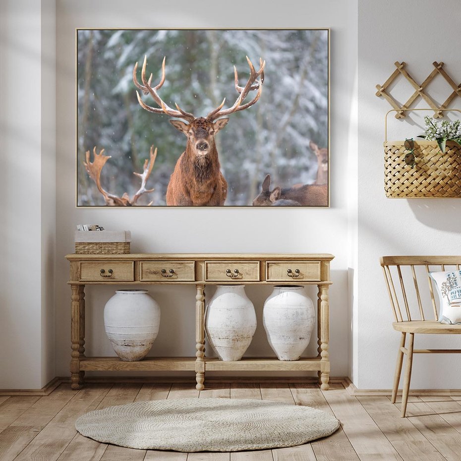 Obraz w ramie 70x50 - Monarcha Zimowej Dziczy - jeleń, zima - rama drewno