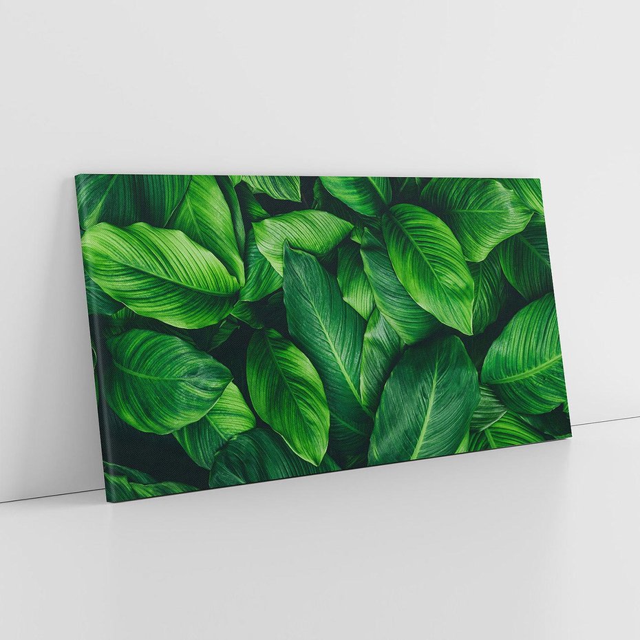 Obraz na płótnie 120x60 - Palma Liście Kwiat - palma, liście