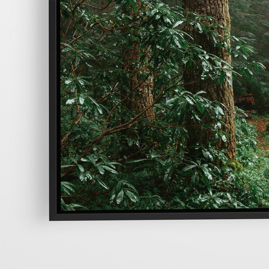 Obraz w ramie 50x50 - Mgliste Marzenia - artystyczna fotografia, las - rama czarna