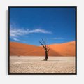 Obraz w ramie 50x50 - Słońce i Suche Drzewo - pustynia, suche - rama czarna