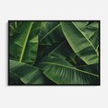Obraz w ramie 70x50 - Zaklęta roślinna ekspresja - liście bananowca, gęsto ułożone - rama czarna