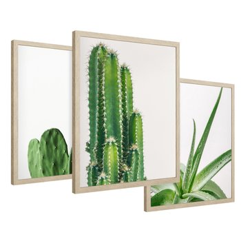 Zestaw obrazy w ramie 40x50 galeria - Kaktusy, minimalizm, boho, nowoczesny - rama drewno