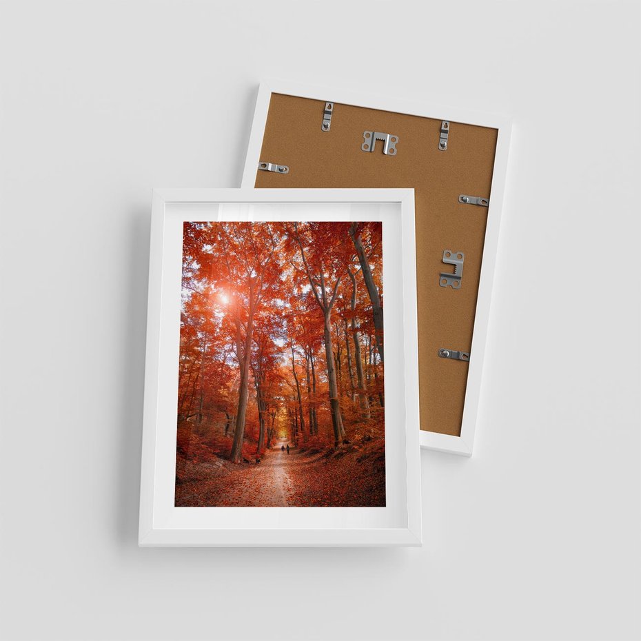 Plakat w ramie 30x40 - Magia jesiennego lasu - las, jesień - rama biała