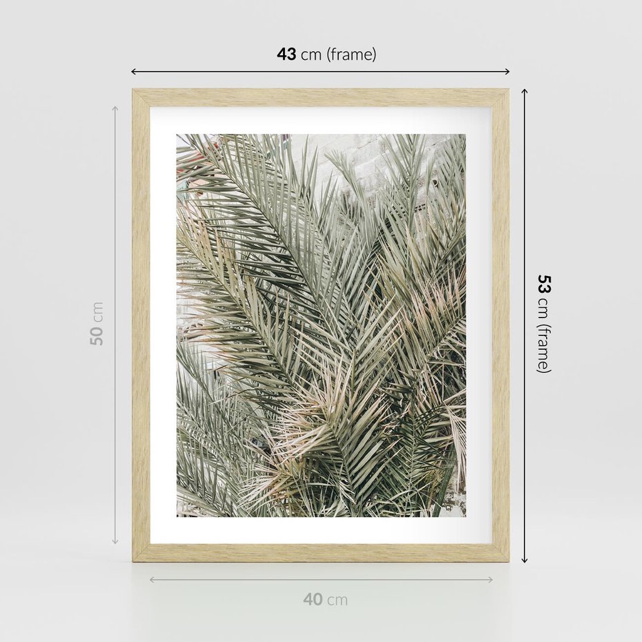Plakat w ramie 40x50 - Egzotyczny Świat Palm - palmy, liście palmy - rama drewno