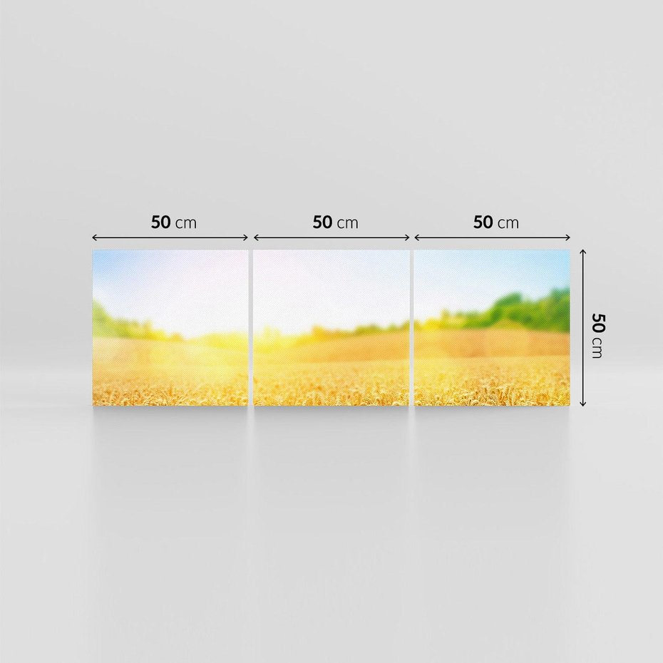 Obraz na płótnie 150x50 - Żyzne Pola - pole, pszenicy