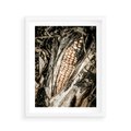 Plakat w ramie 40x50 - Kukurydza w Jesiennej Scenie - kukurydza, jesień - rama biała